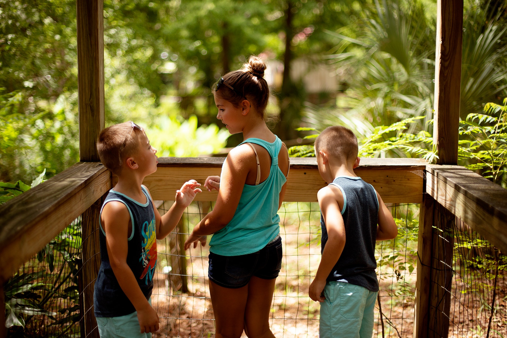 talking-about-the-animals-at-the-zoo.jpg